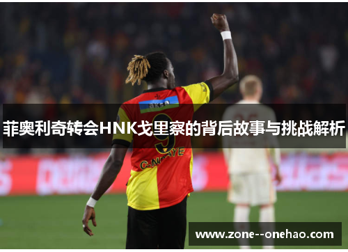 菲奥利奇转会HNK戈里察的背后故事与挑战解析