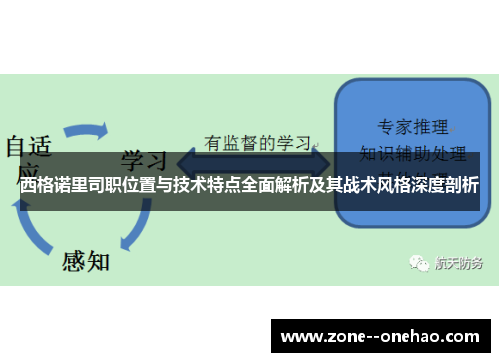 西格诺里司职位置与技术特点全面解析及其战术风格深度剖析 西格诺里司职位置与技术特点全面解析及其战术风格深度剖析