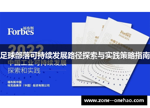 足球部落可持续发展路径探索与实践策略指南