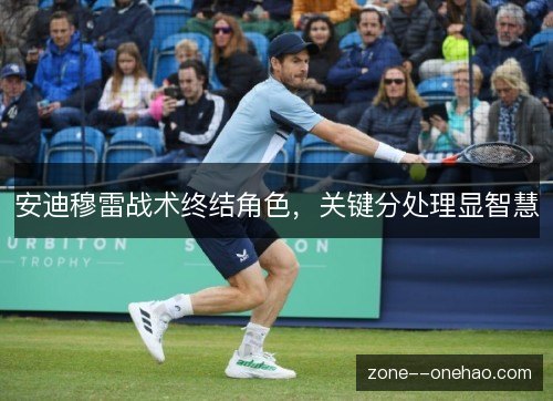 安迪穆雷战术终结角色，关键分处理显智慧